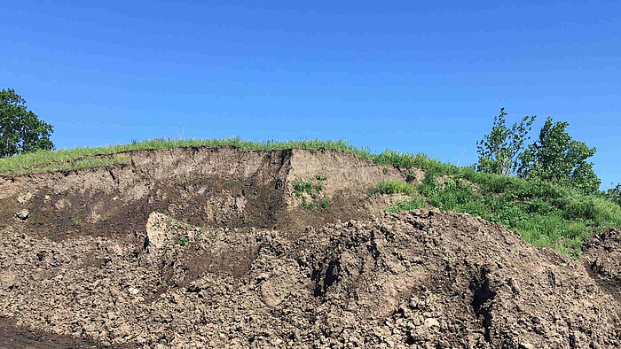 Unprocessed topsoil stockpile